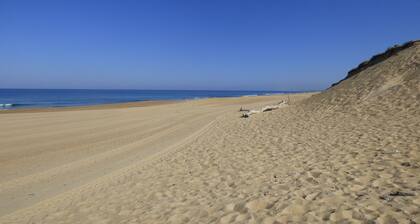 appartement dans maison landaise 400 m de l'0céan proche Capbreton, Hossegor