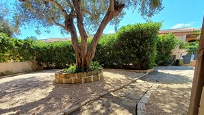 A courtyard with a large tree, a gravel path, and a building in the background.