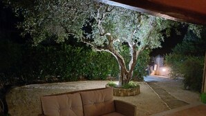 A wicker sofa with a cushion, a tree in a planter, and a paved area with a wall and greenery in the background.