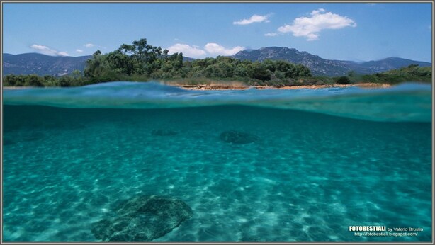 A clear view of a beach with turquoise water, a sandy shore, and a forested hill in the background.