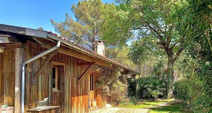CAP FERRET WOODEN VILLA IN A MAGNIFICENT PIQUEY GARDEN
