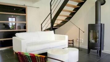 Televisor, llar de foc i reproductor de DVD