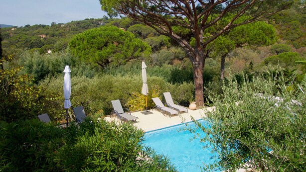 Un espace piscine agrémenté de chaises longues et de parasols, entouré d’une végétation luxuriante et d’arbres.