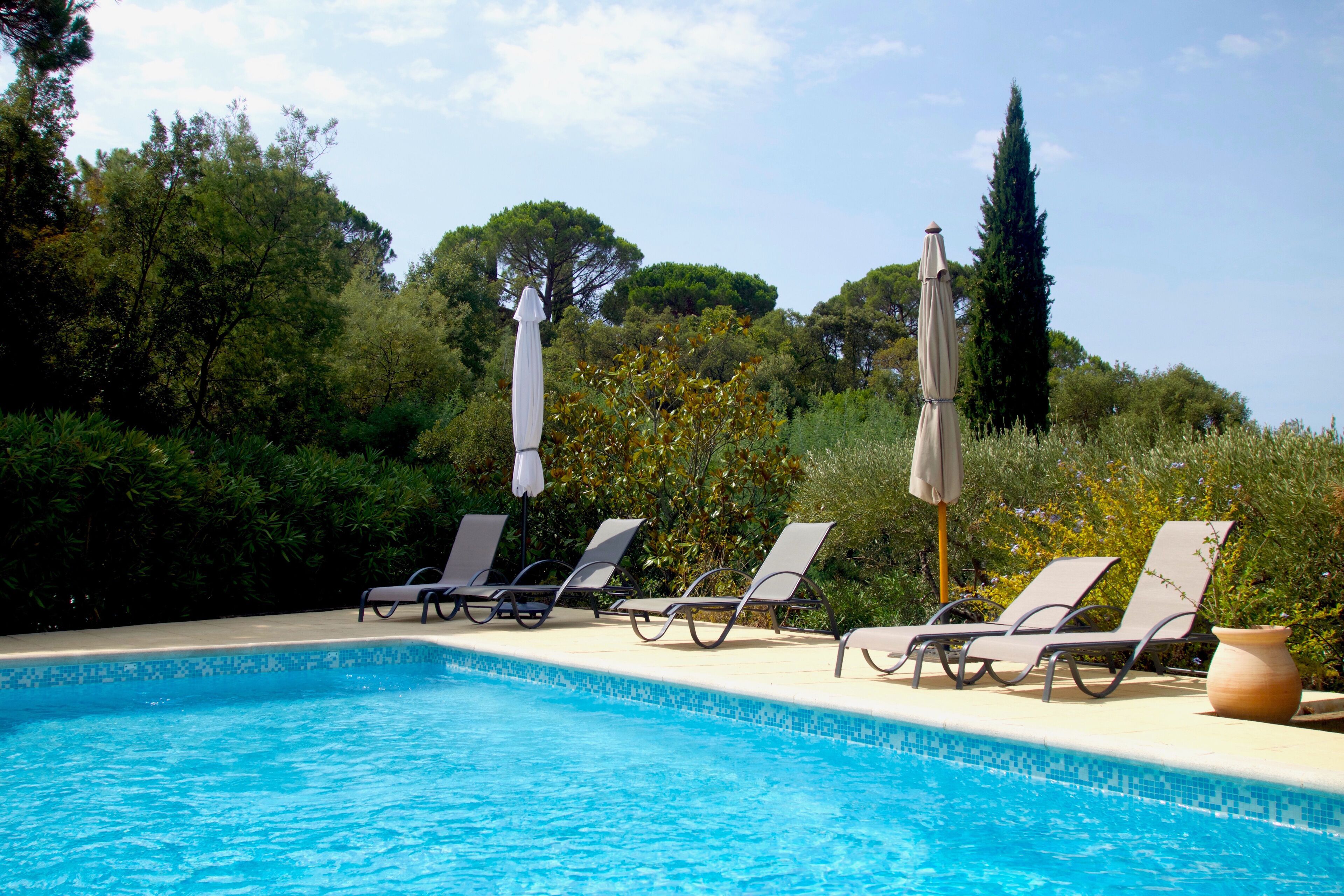 A pool with lounge chairs and umbrellas, surrounded by trees and greenery.
