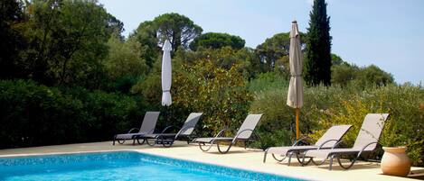 A pool with lounge chairs and umbrellas, surrounded by trees and greenery.