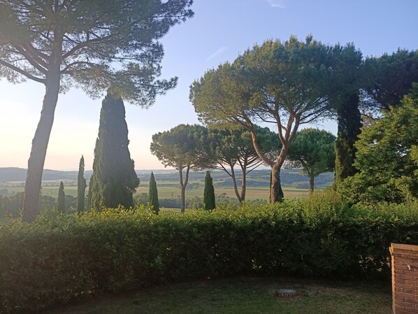 Área da propriedade