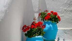 To blå blomsterpotter med røde blomster på en hvid væg.