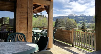 Chalet / Hütte - LES GETS