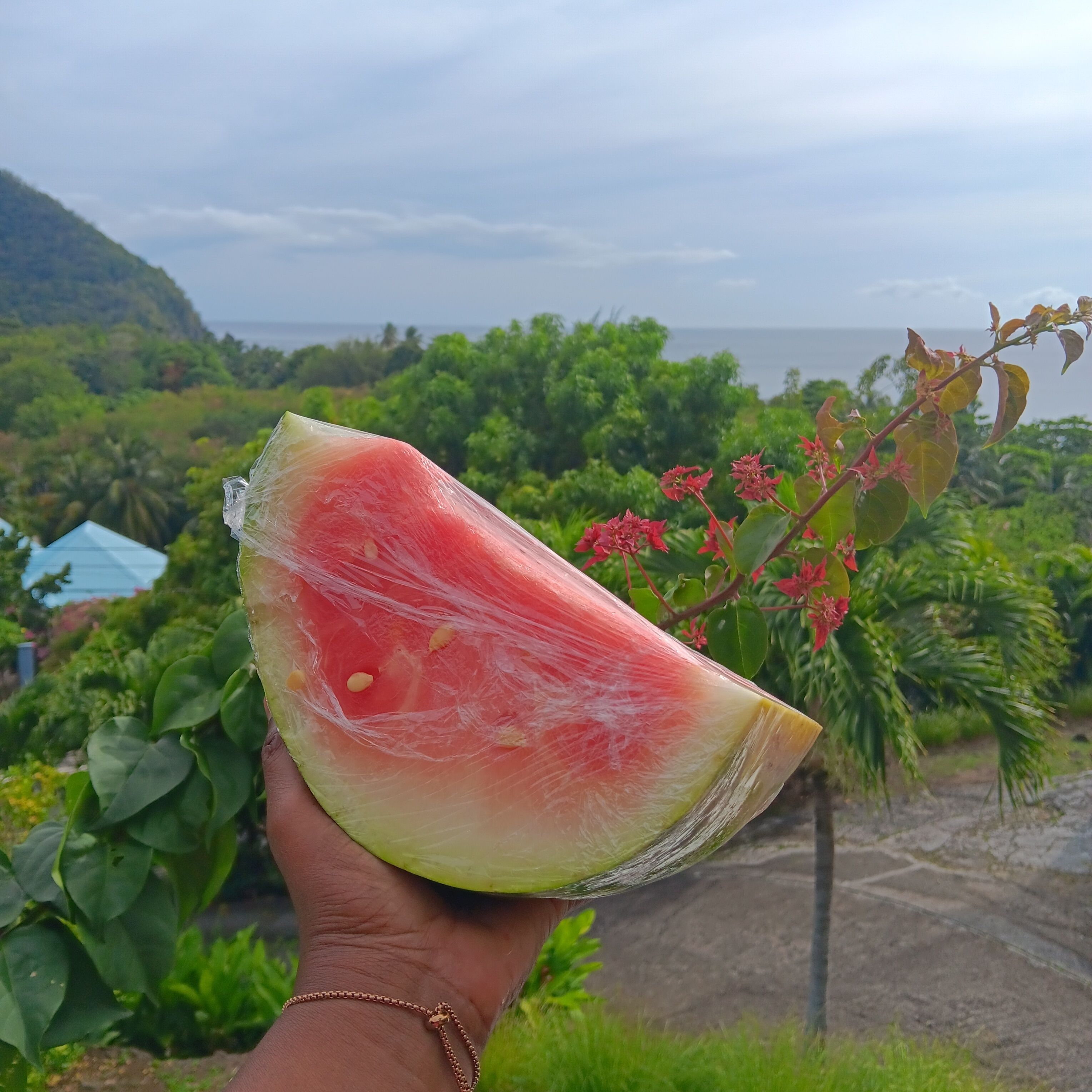 A hand holding a slice of watermelon with a view of a lush landscape and a body of water in the background.