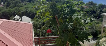 Giù graziosa villa con il suo stand