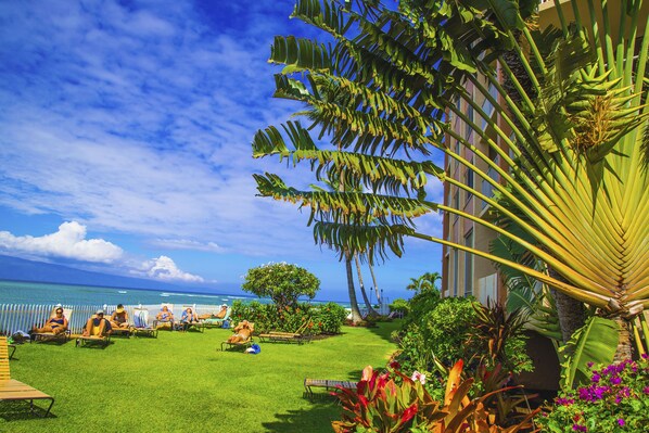 A tropical garden with a pool, palm trees, and a view of the ocean. - Royal Kahana 318 Studio Bedroom Condo by RedAwning (Lahaina)