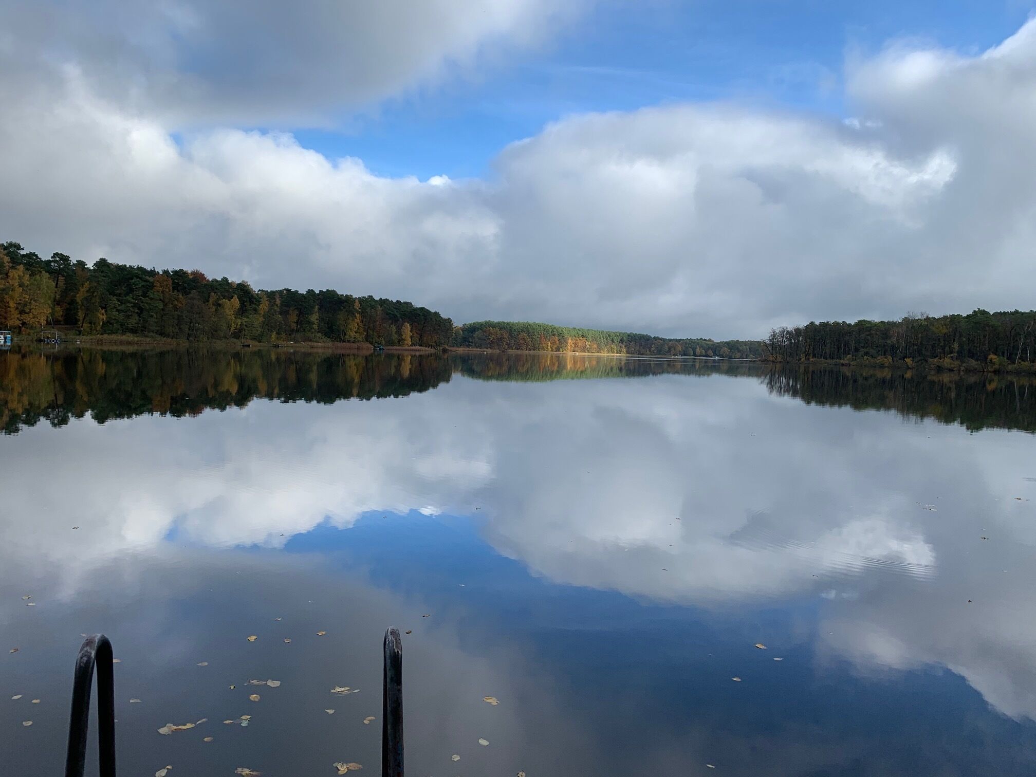A calm lake with reflections of trees and sky, surrounded by a forested area.
