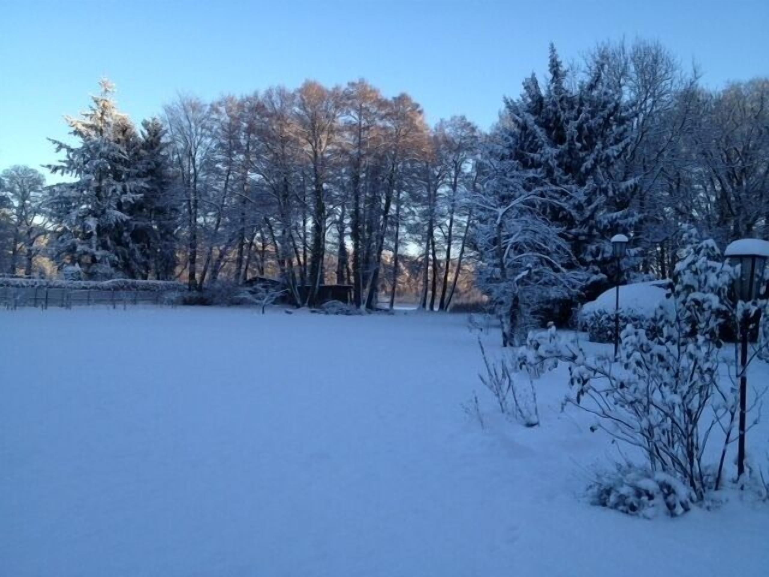 A snow-covered landscape with trees and a fence.