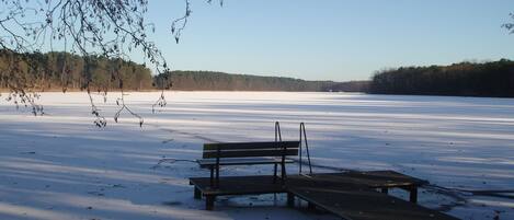 A snow-covered beach with benches and a clear view of the forest in the background.