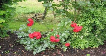 Apartments Wiesengrund - Holidays in the middle of nature - in the Eifel National Park