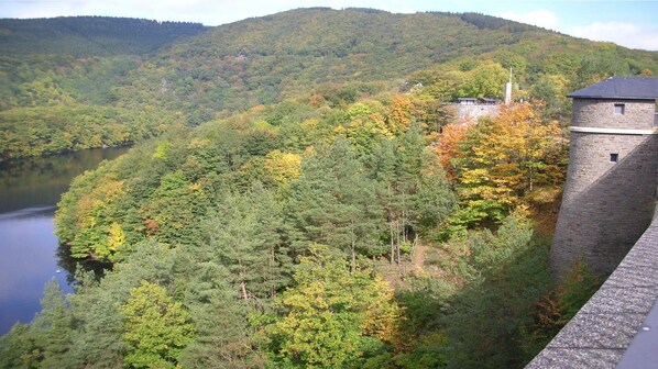 A stone building with a sloped roof, surrounded by dense forest and a river.