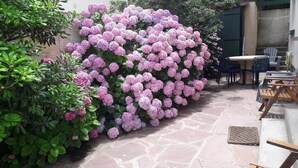 Un espace patio avec un sol en pierre, une table entourée de chaises et un grand arbuste aux fleurs roses.