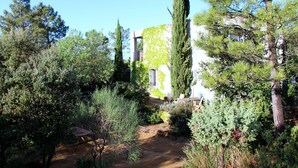 Ein Garten mit verschiedenen Bäumen und Sträuchern, einer hölzernen Bank und einem Gebäude mit weißer Fassade und Grünspan-Efeu.