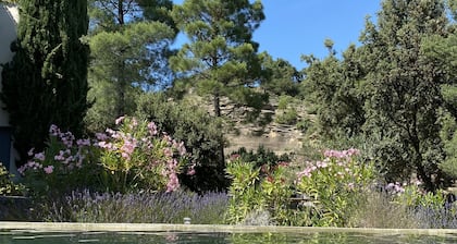 Luxurious designed villa, vineyards, 5000 m2 plot, 13 m pool, close to village