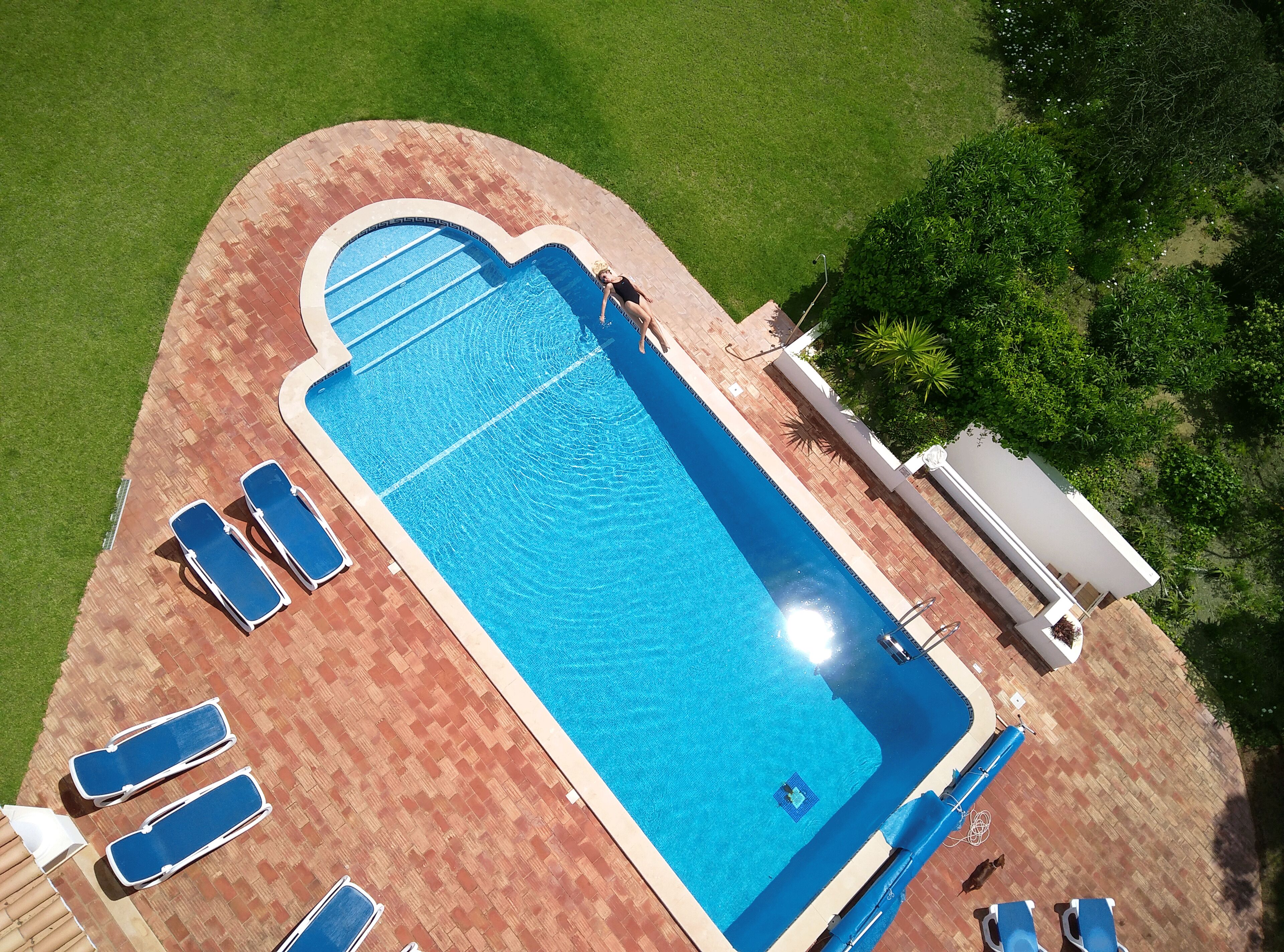 An aerial view of a rectangular swimming pool with a tiled deck, surrounded by a grassy area and trees.
