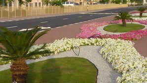 Eine angelegte Grünfläche mit einer Palme, Blumenbeeten und einer Straße mit Gebäuden im Hintergrund.