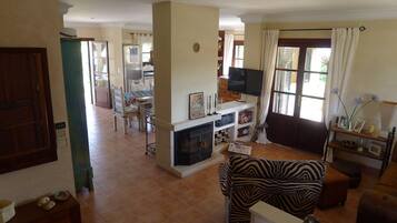 Una televisión, una chimenea, libros