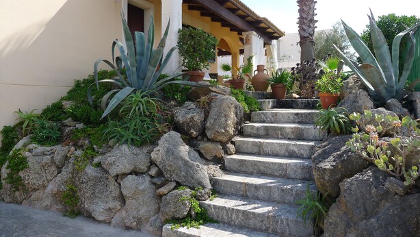 Un escalier en pierre mène à un bâtiment doté d’un porche abrité, qui est entouré de différentes plantes en pot et de rochers.