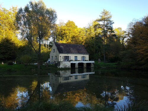 House nest in the forest, near castel Compiègne, Pierrefonds and Chantilly