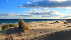 Una platja amb dunes de sorra i l'oceà.