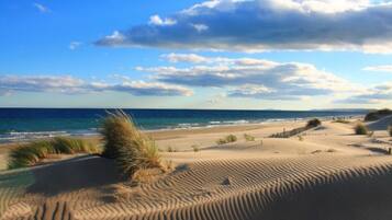 Plage à proximité