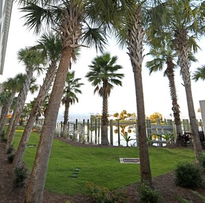 Terrain de l’hébergement 