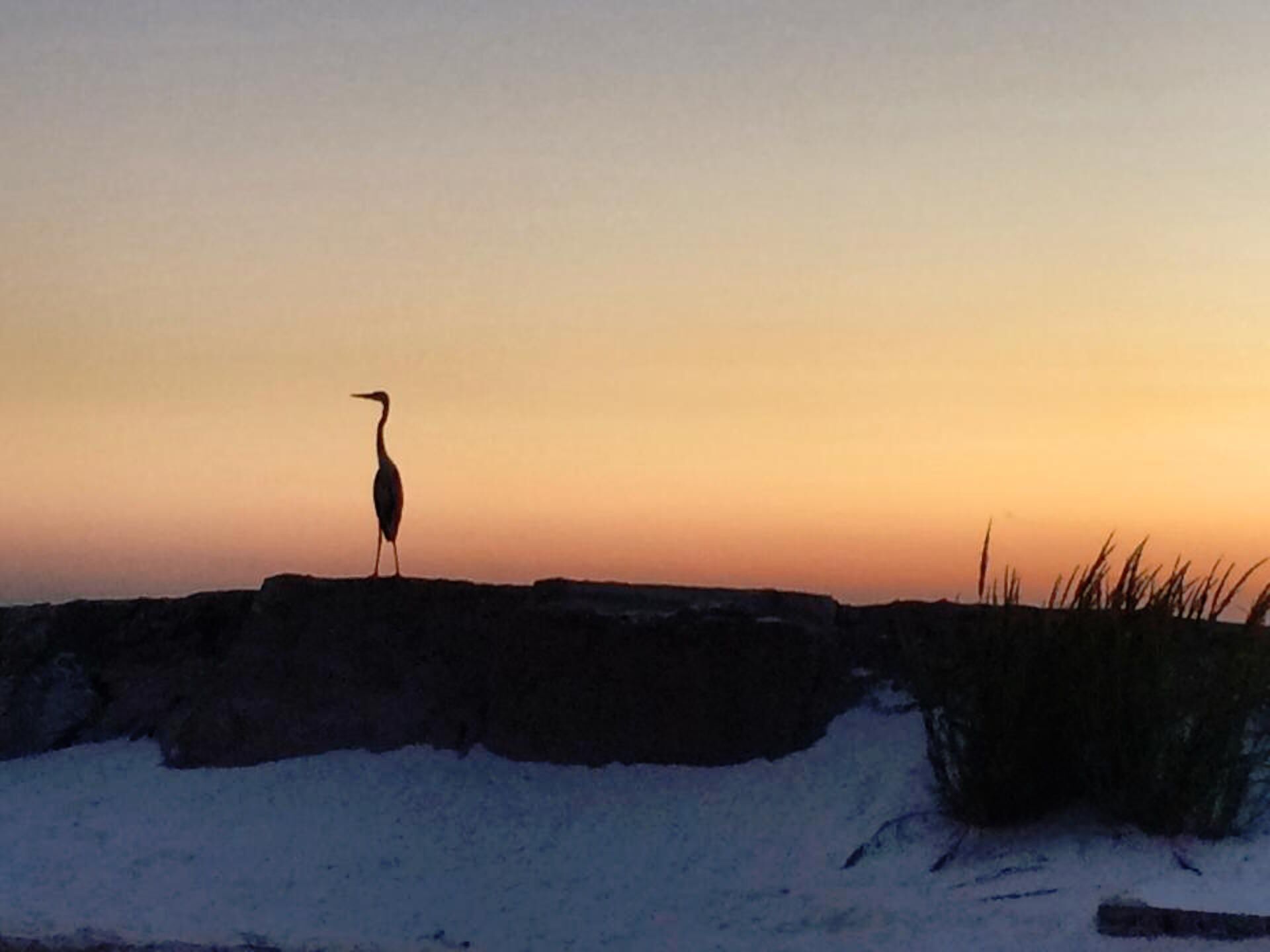 YOUR WATERFRONT GETAWAY ON THE GULF 