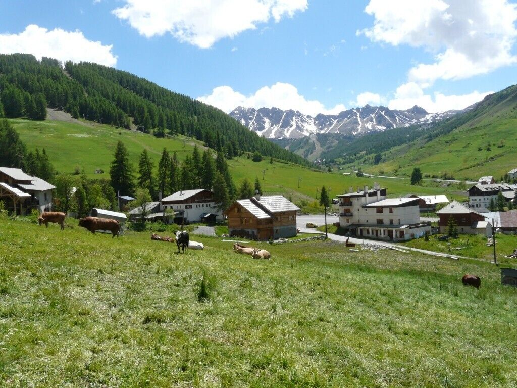 A rural village with houses, grazing cattle, and a mountain backdrop.