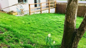 A white building with a wooden deck and a grassy yard. - Mill Lane Cottage, a pretty cottage in beautiful countryside, 4 miles from Bath. (Bath)