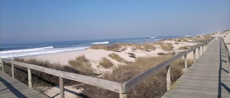 Una playa cerca