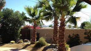A patio area with palm trees, a brick wall, and a barbecue grill. - Bright and Cheerful South Desert Home (Palm Desert)