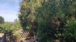 A garden pathway with gravel, surrounded by dense greenery and a wooden fence.