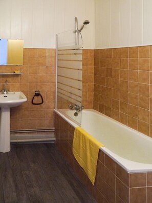 Bathtub, hair dryer, soap, toilet paper