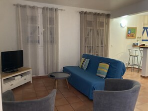 Télévision, lecteur de DVD, médiathèque