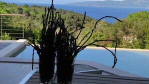 Dos plantas en macetas sobre una terraza de madera con vistas a una piscina y un paisaje con costa y colinas.