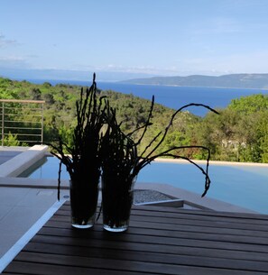 Dos plantas en macetas sobre una terraza de madera con vistas a una piscina y un paisaje con costa y colinas.