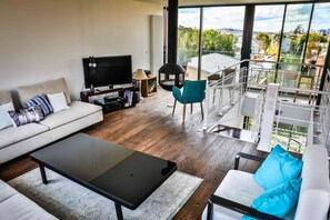 Smart TV, chimenea, reproductor de DVD y libros 