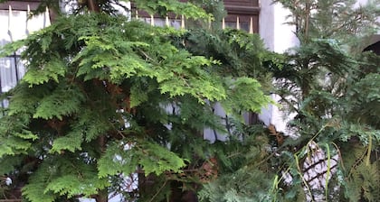 LEBACCHUS' Haus im Herzen ,,,,