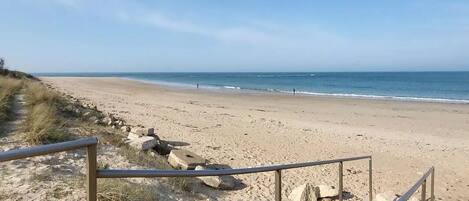 بالقرب من الشاطئ