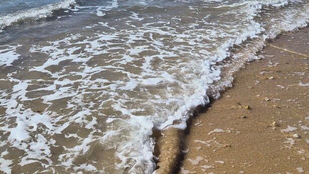 A beach with waves gently lapping onto the shore. - House sea view in Chaucre beach 80 m panoramic solarium  (Saint-Georges-D'oléron)