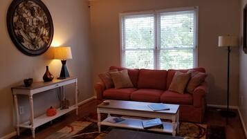 TV connectée, cheminée, lecteur de DVD, livres