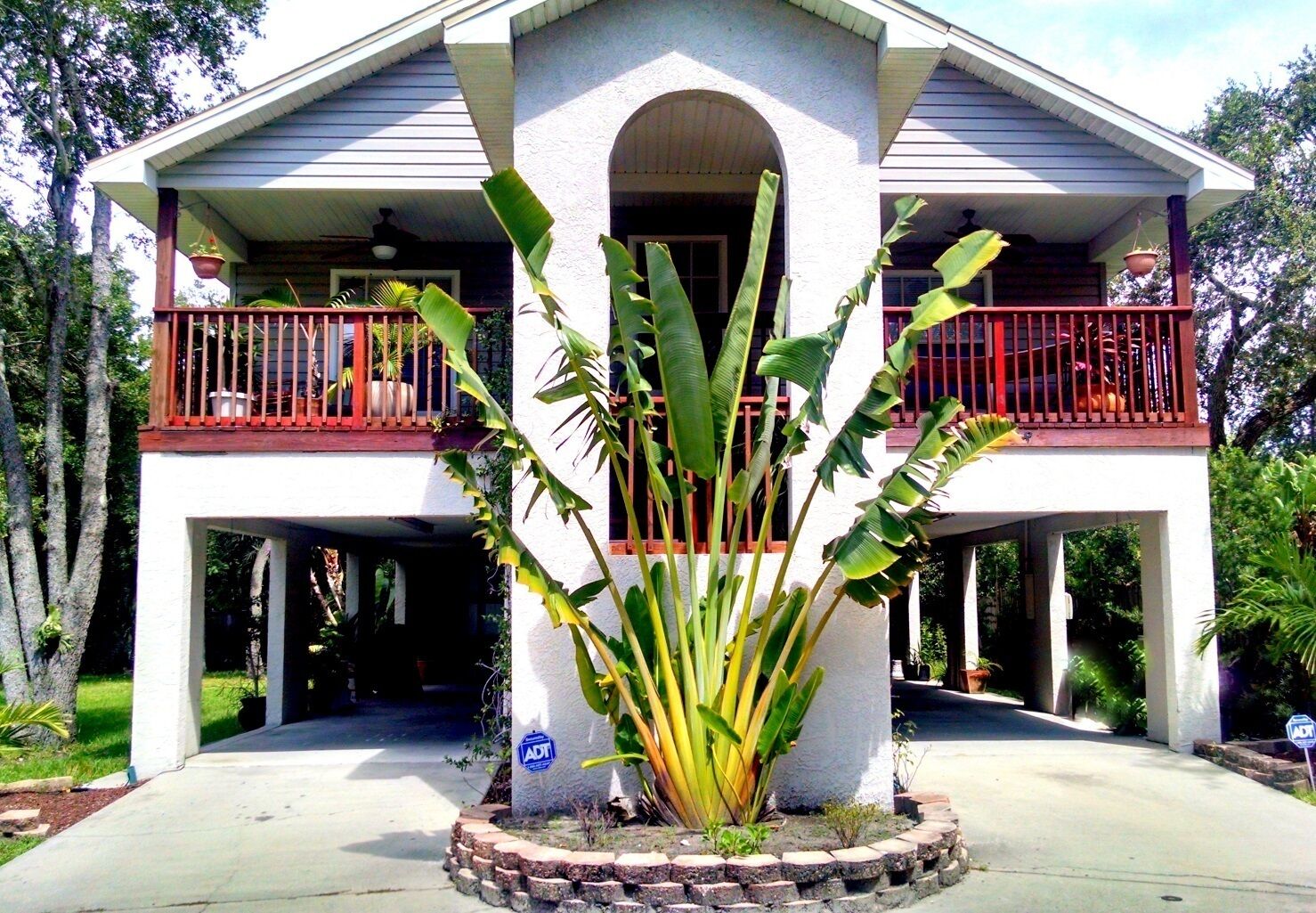 Sparkling Clean Tampa TreeHouse Availability in September 
