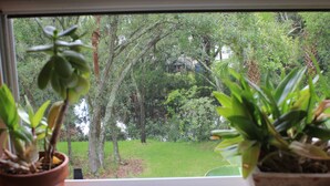 Una ventana con dos plantas en macetas en el alféizar, con vista a un jardín exuberante con varios árboles y un césped.