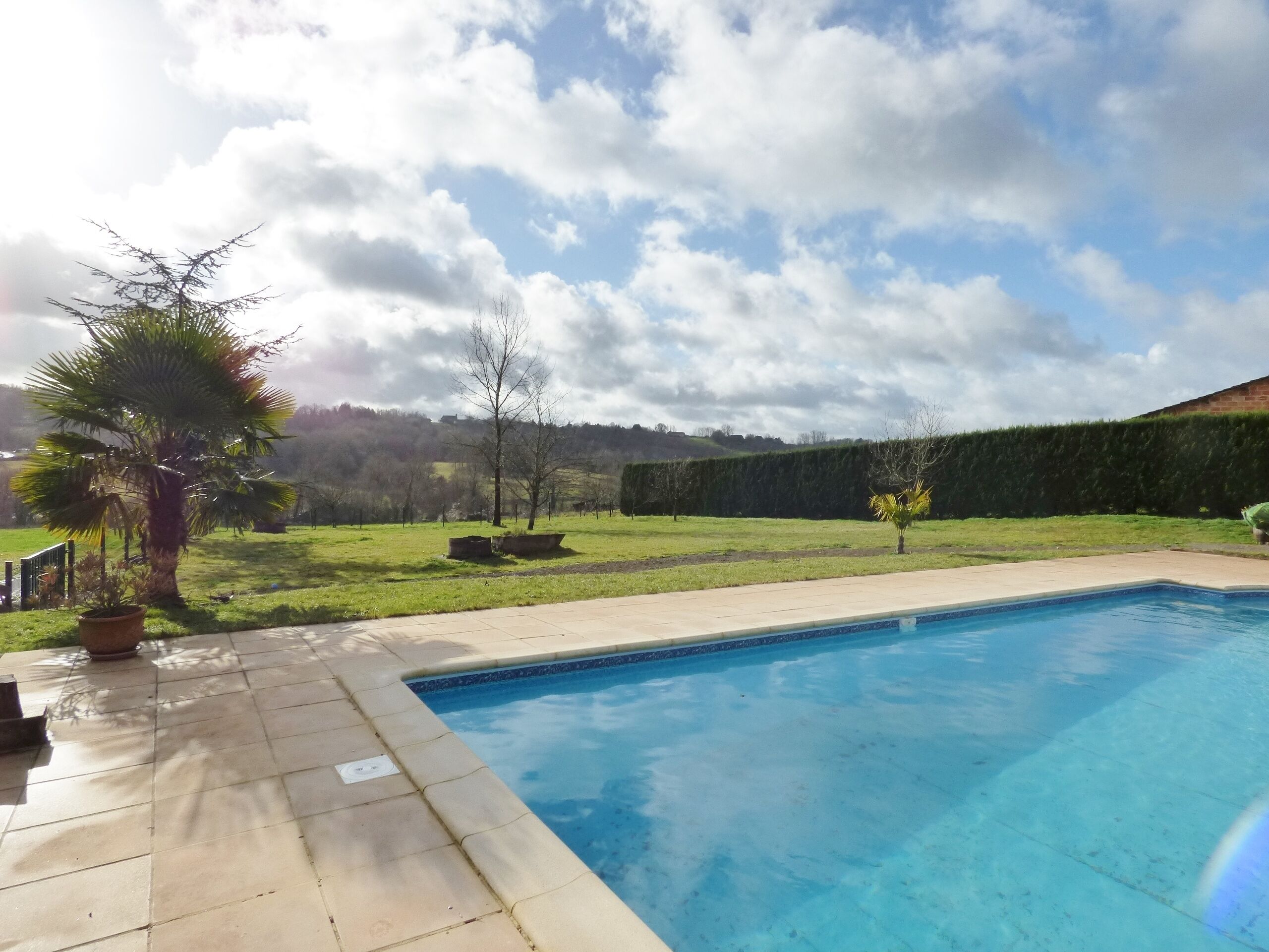 A swimming pool with a tiled deck, surrounded by a grassy area with trees and a hedge.