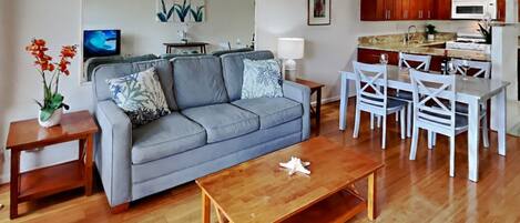 電視、DVD 播放機、書籍